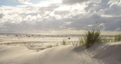 Nordsee-Panorama-05