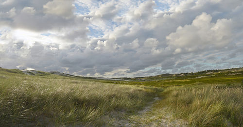 Nordsee-Panorama-08