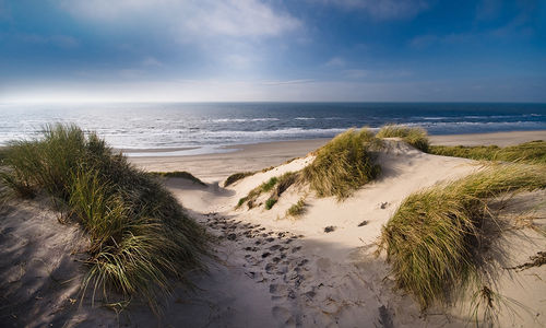 Nordsee-Panorama-11